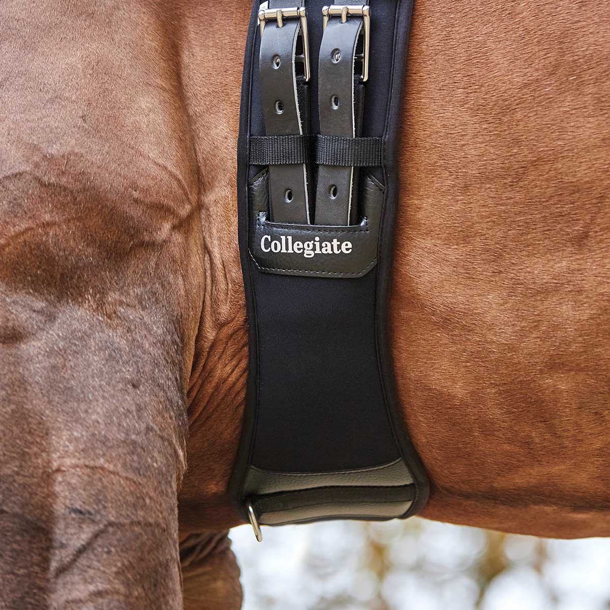 Collegiate Memory Foam Dressage Girth, Black - Image 12
