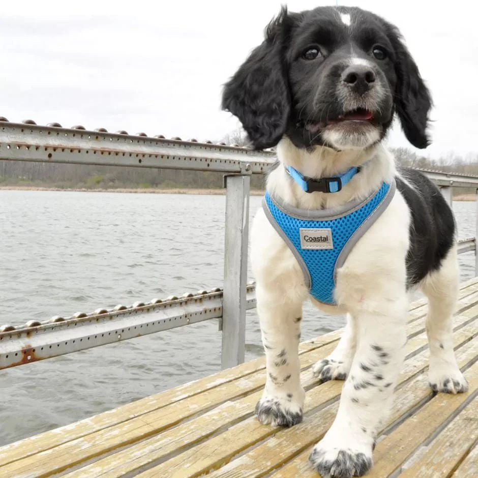 Comfort Soft Reflective Wrap Adjustable Dog Harness - Image 22