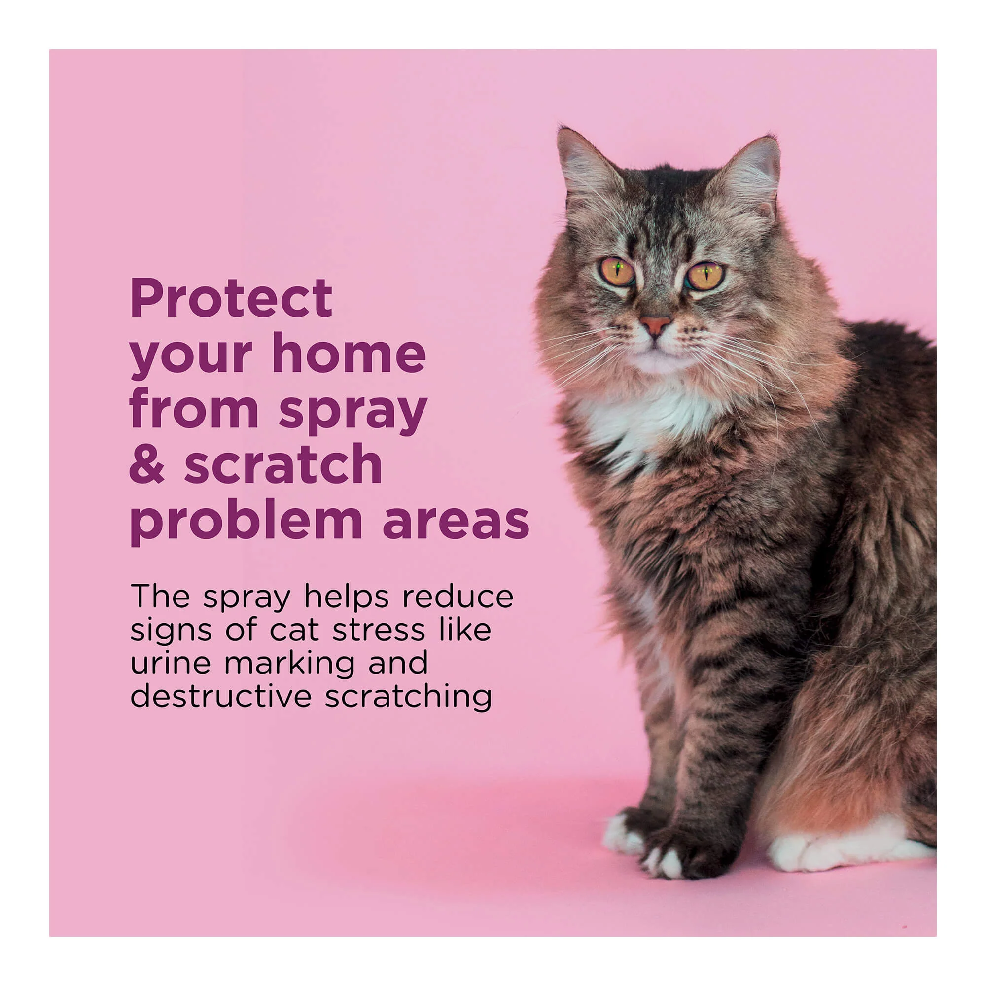 Comfort Zone Scratch Deterrent and Calming Spray for Cats - Image 7