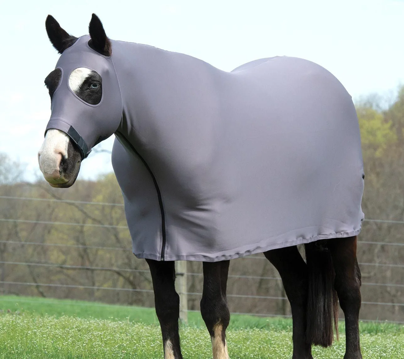 Coolcore Lycra Cooling Sheet for Horses with UV Protection - Image 2