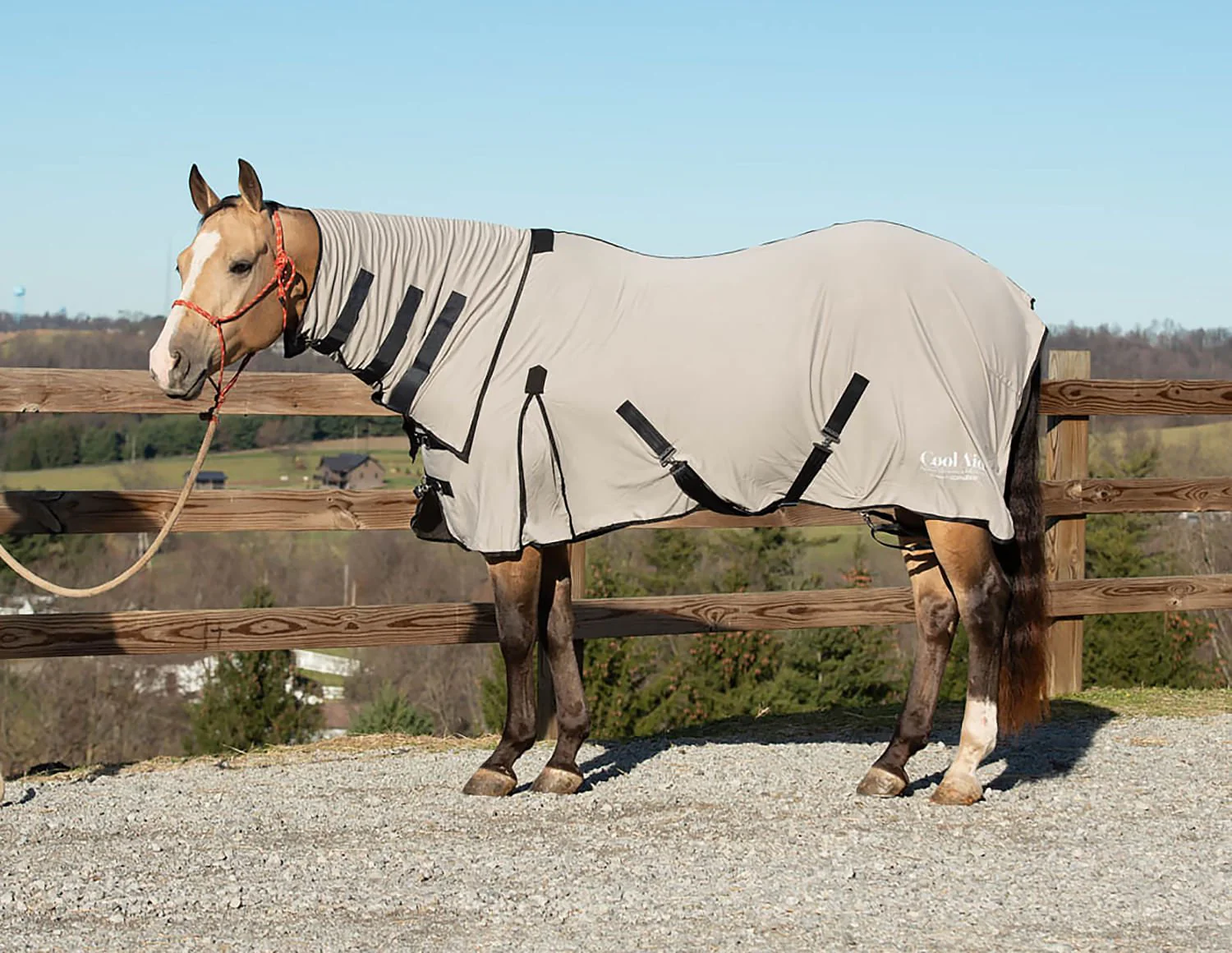 Coolcore Equine Cooling Blanket - Image 2