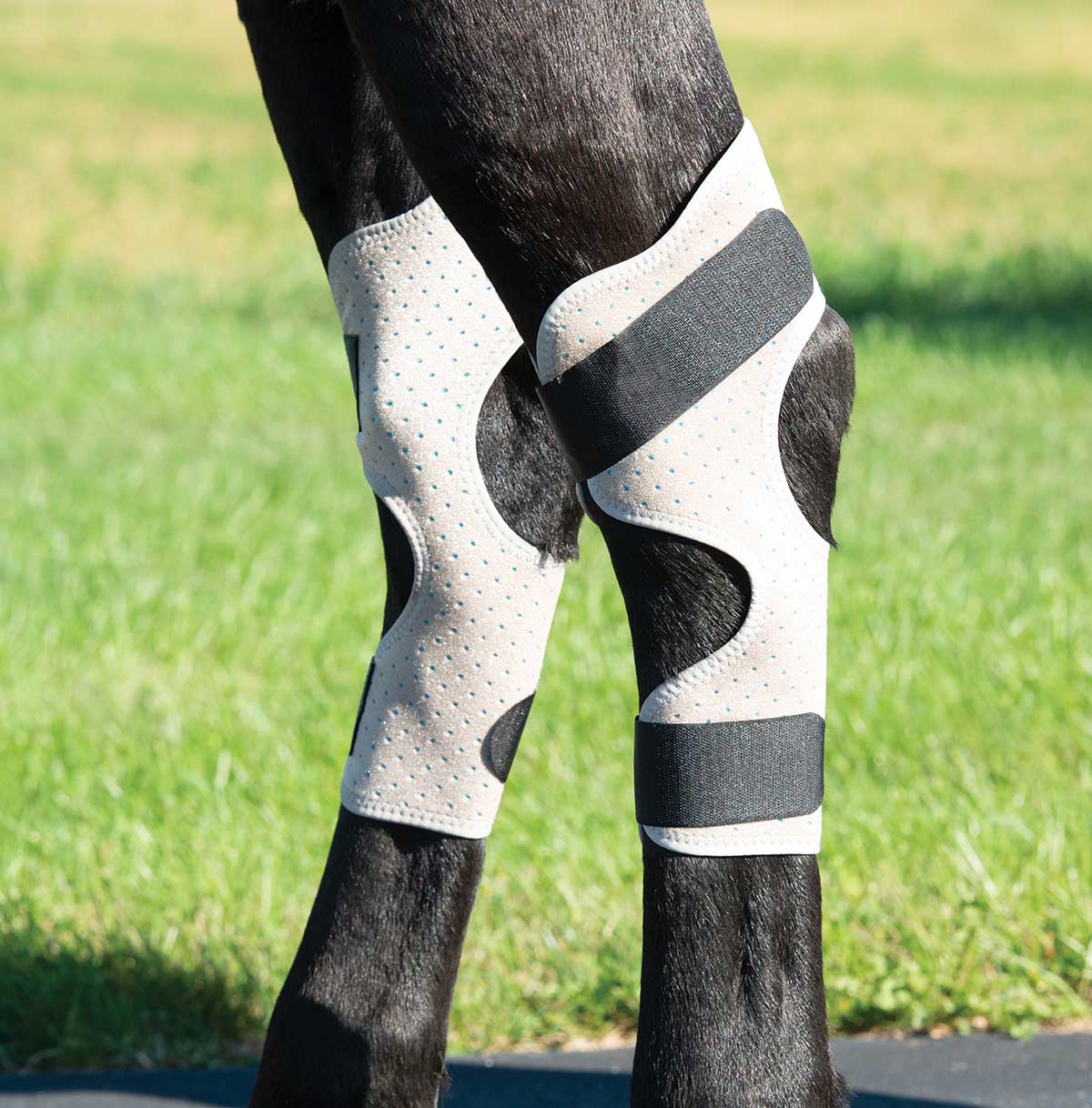 CoolCore Equine Icing and Cooling Hock Wraps - Image 2