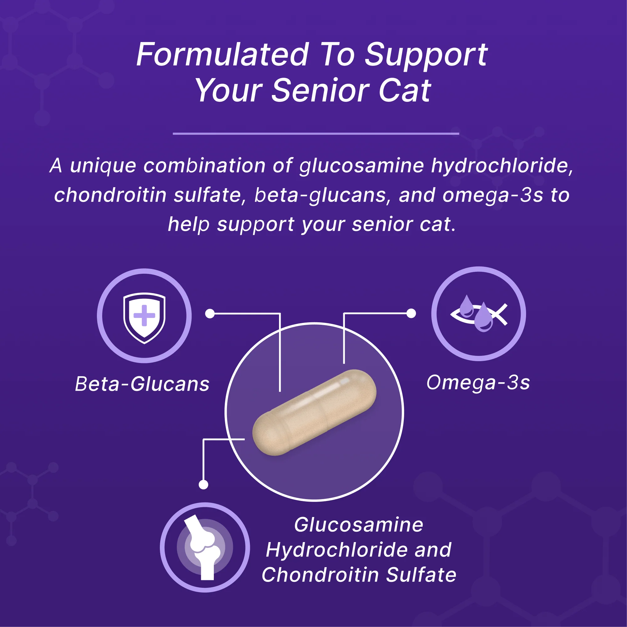 Nutramax Cosequin Senior Joint Health Supplement for Cats, 60 Sprinkle Capsules - Image 6