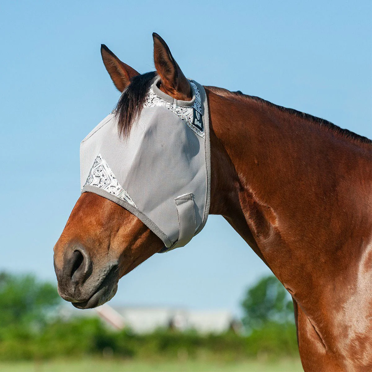 Cashel Crusader Fly Mask for Horses with Forelock Hole and UV Sun Block - Image 7