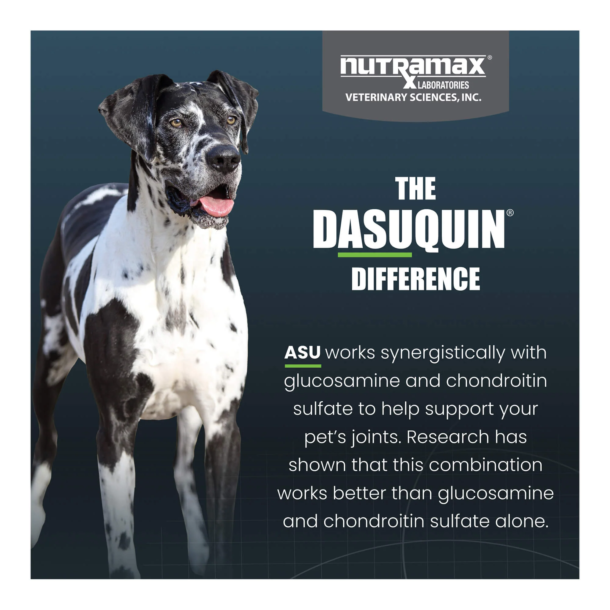 Nutramax Dasuquin for Dogs, Joint Health Supplement, Glucosamine, Chondroitin, ASU and More, Soft Chews - Image 19