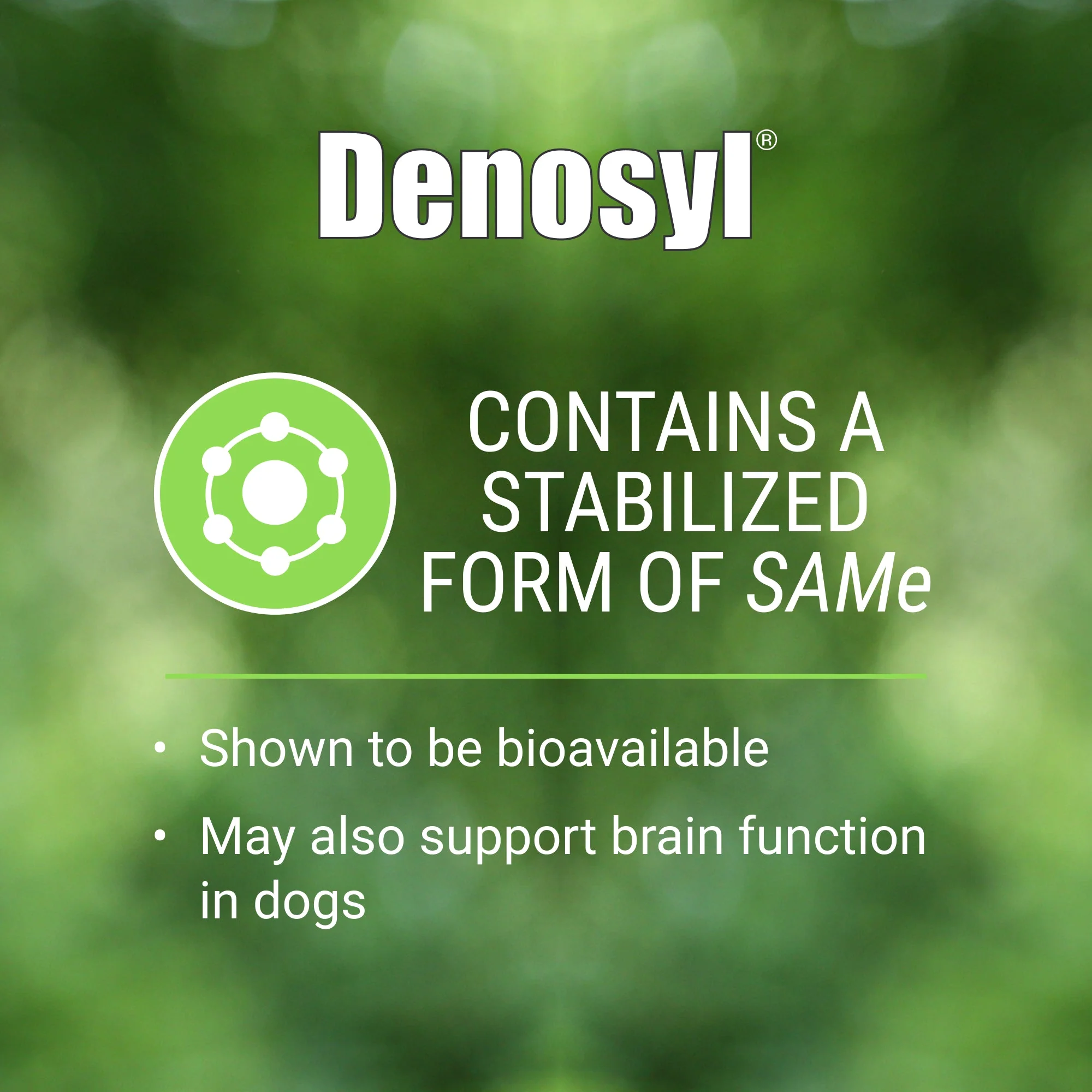 Nutramax Denosyl Liver and Brain Health Supplement - Image 18