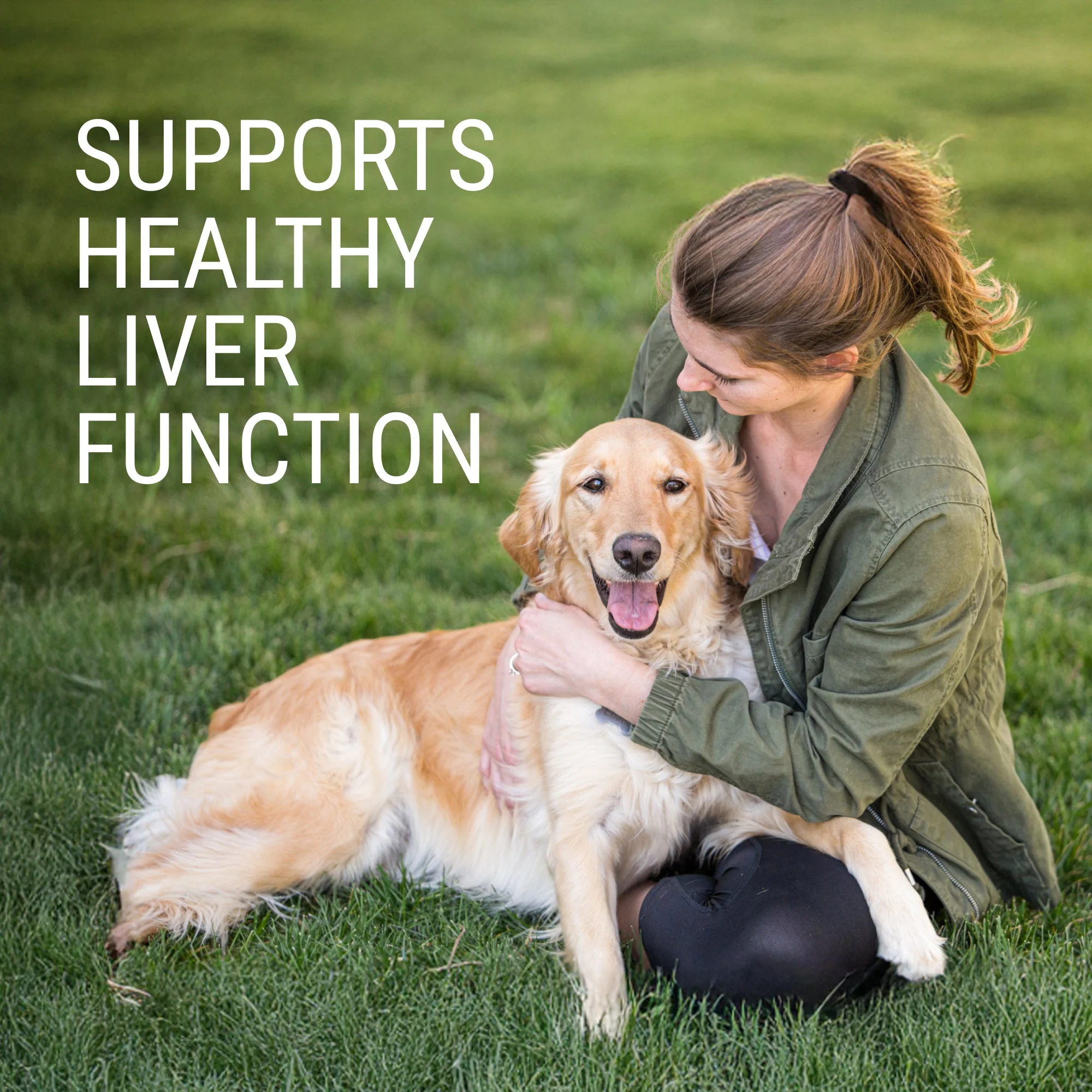 Nutramax Denosyl Liver and Brain Health Supplement - Image 25