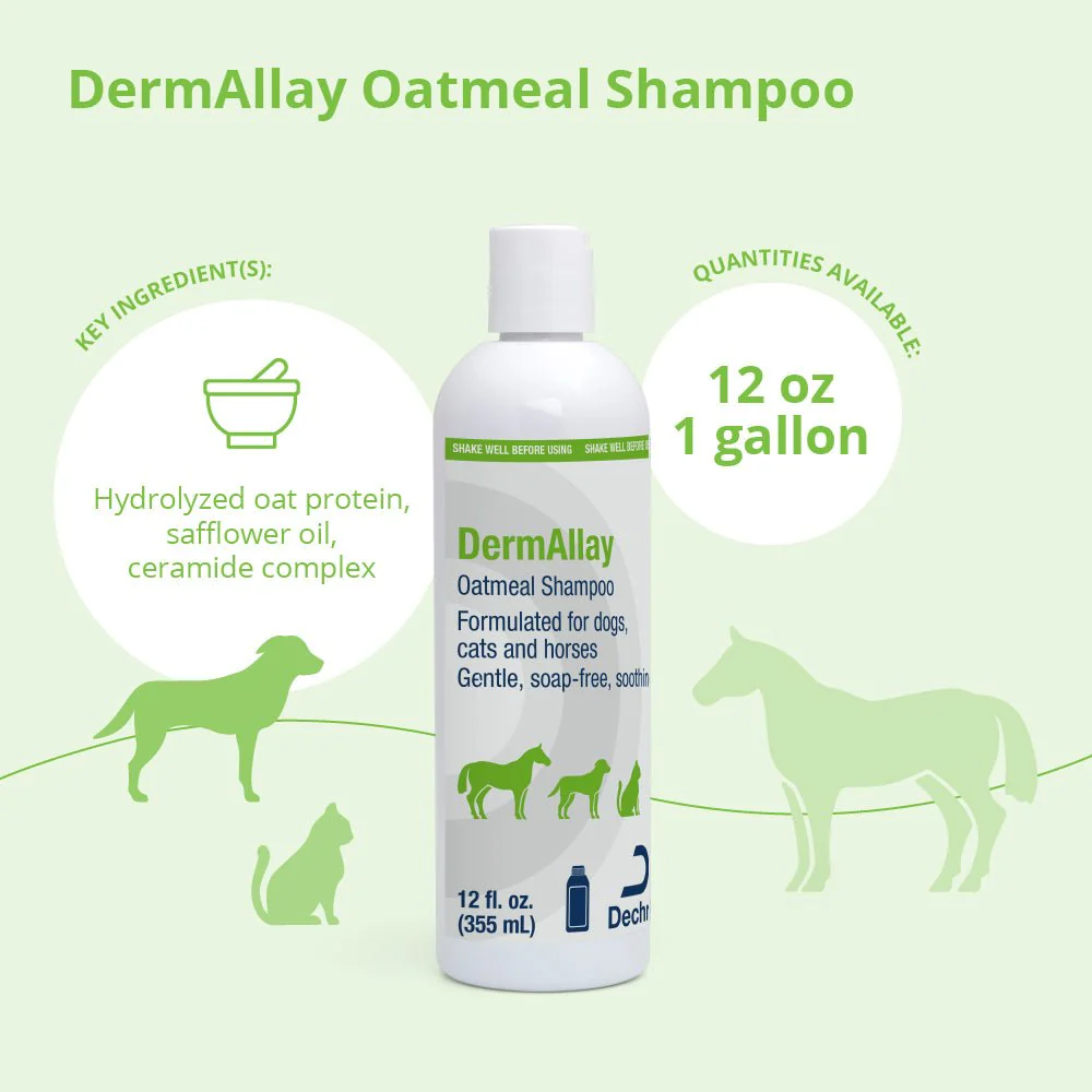 DermAllay Oatmeal Shampoo for Dogs, Cats & Horses - Image 4