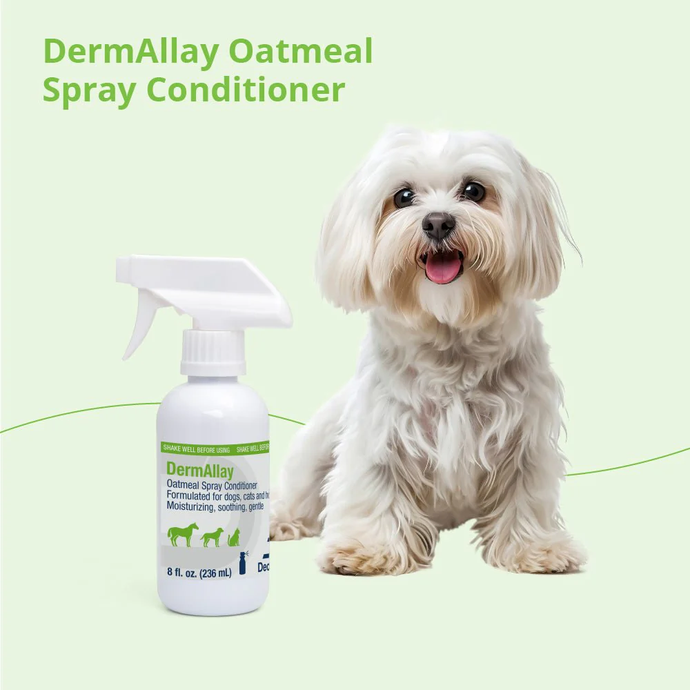 DermAllay Oatmeal Spray Conditioner – Anti-Itch, Leave-On Skin Relief for Dogs, Cats & Horses - Image 10