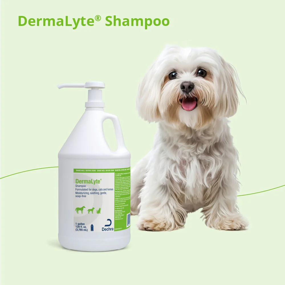 Dermalyte Shampoo for Dogs, Cats & Horses - Image 10