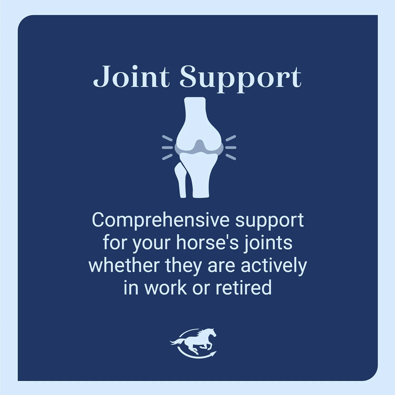 Devil's Claw Plus, Joint Support for Horses, Pellets - Image 8