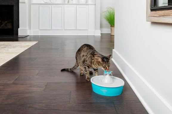 Drinkwell Butterfly Pet Fountain - Image 3