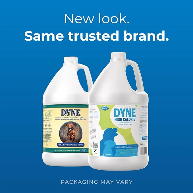 Dyne High Calorie Liquid Nutritional Supplement for Dogs - Image 12