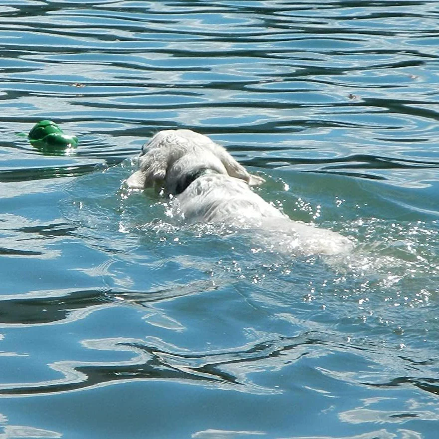 Ecolast Rubber Floating Hippo / Turtle Dog Toys, 1 ct - Image 6