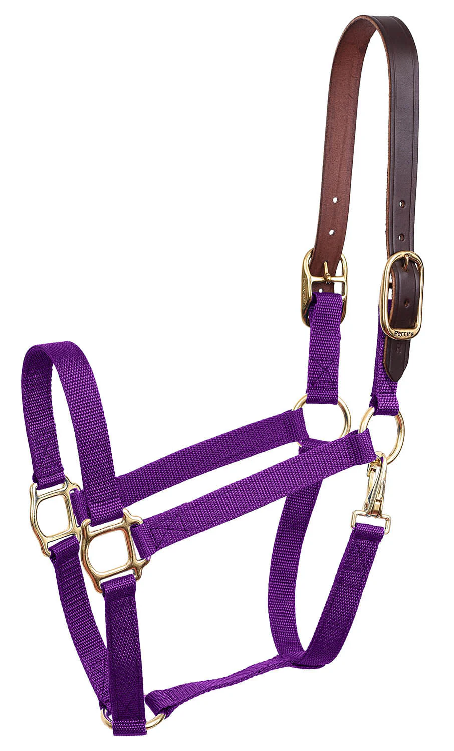 Economy Nylon Safety Horse Halter - Image 32