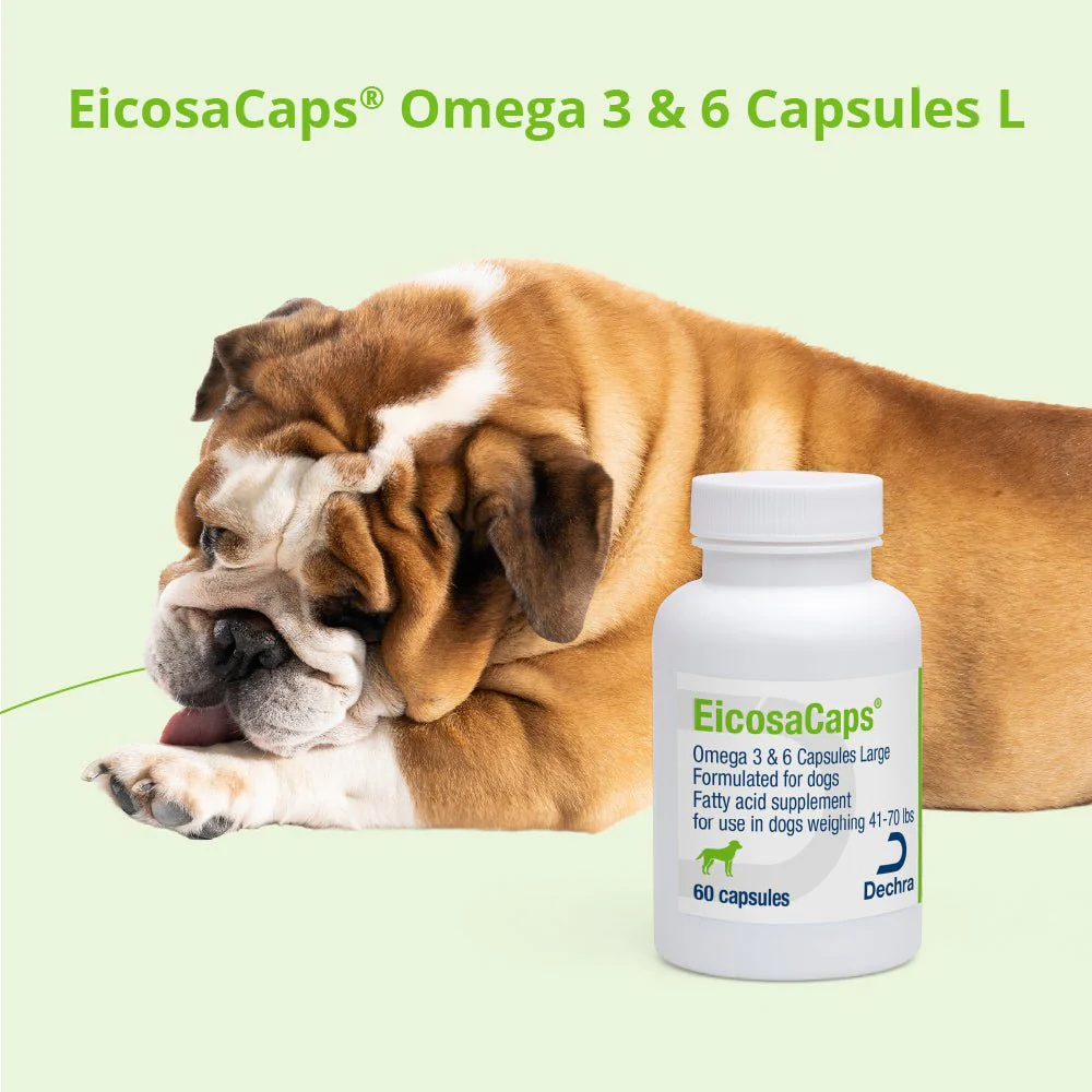 EicosaCaps Omega 3 & 6 for Dogs and Cats - Image 8