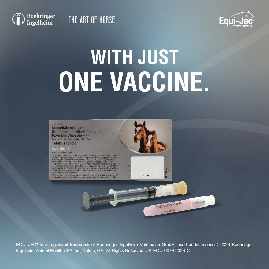 Equi-Jec 7 Vaccine for Horses - Image 4