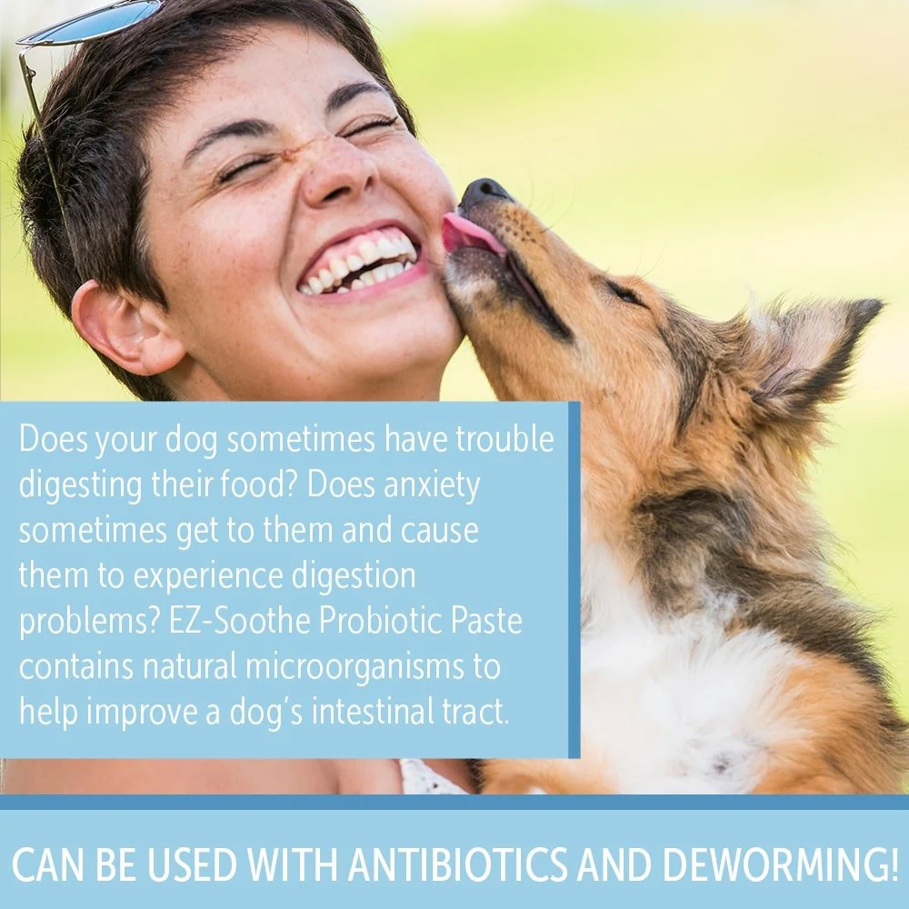 EZ-Soothe Probiotic Oral Paste for Dogs & Cats – Daily Digestive & Gut Support, 30cc - Image 6