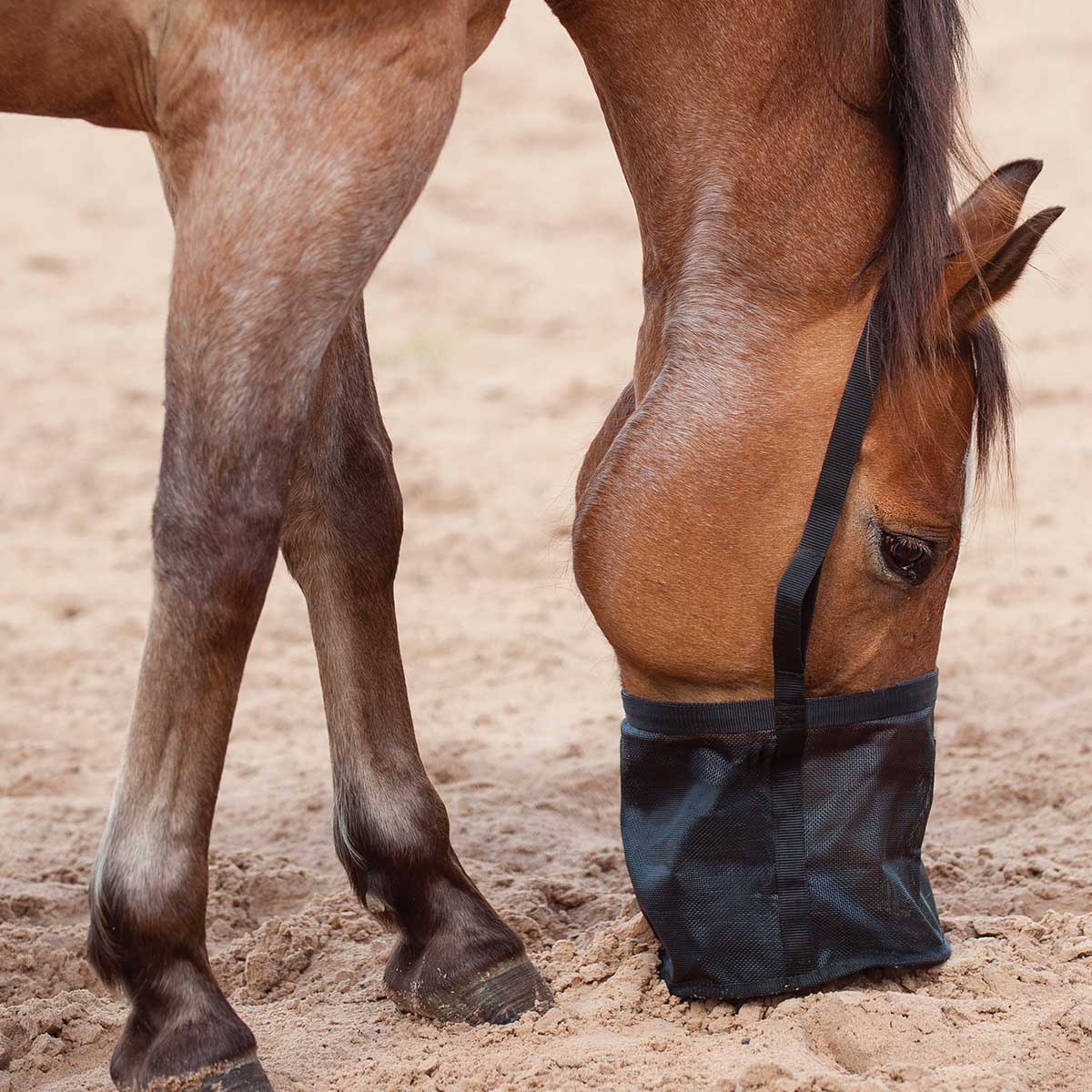 Feed Rite Horse Feed Bag - Image 3