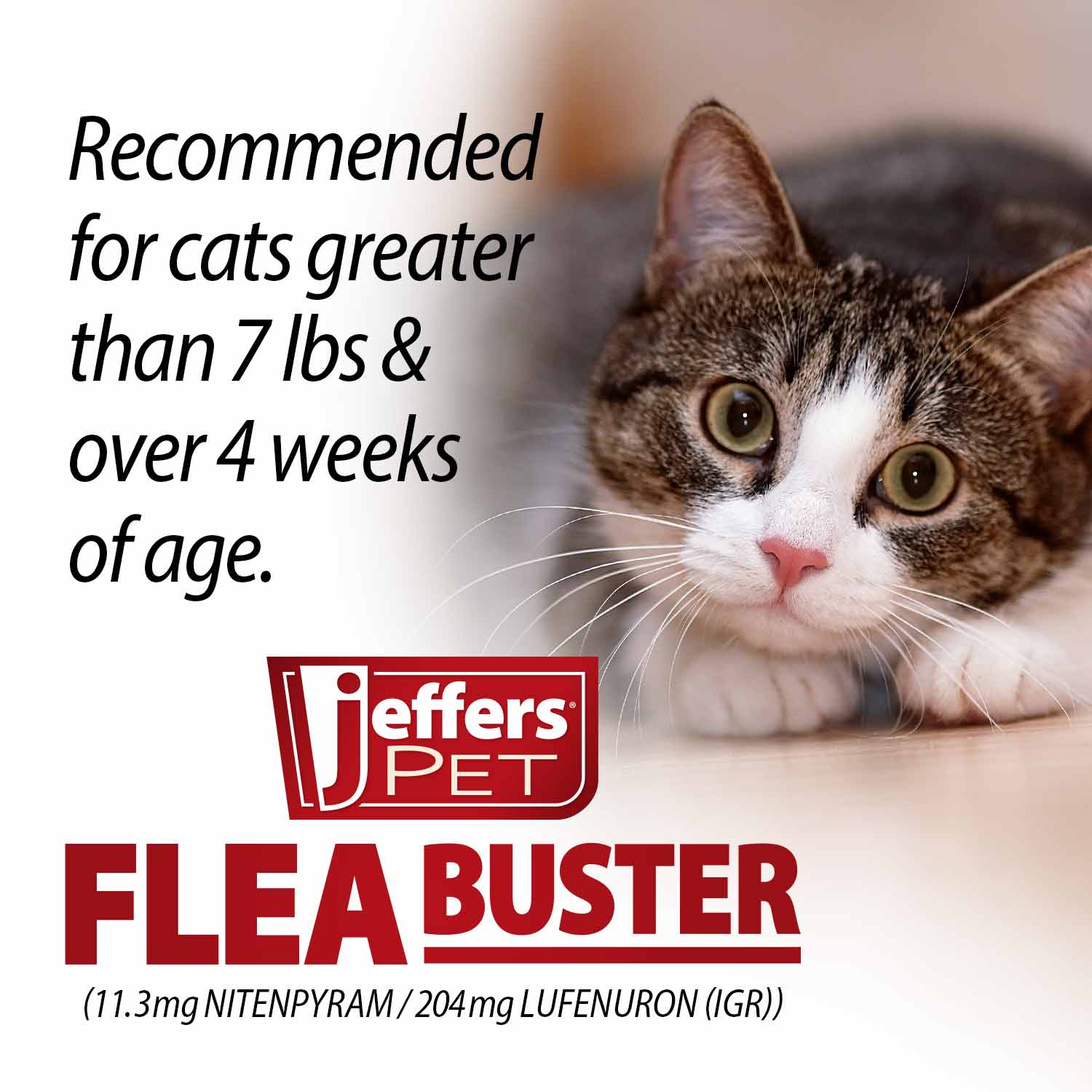 Jeffers Flea Buster Cat Monthly Oral Flea Supplement - Image 4