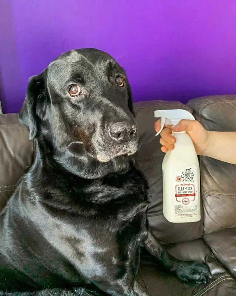 Skout's Honor Flea + Tick, Dog & Home Spray, 28 oz - Image 3
