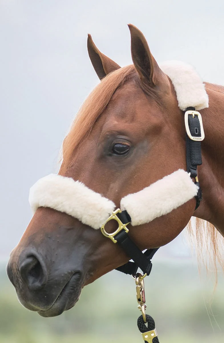 Fleece Halter Cover Set, Natural - Image 2