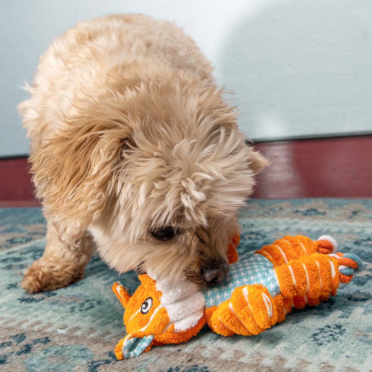 KONG Floppy Knots Plush Dog Toy with Internal Rope & Squeaker - Image 22