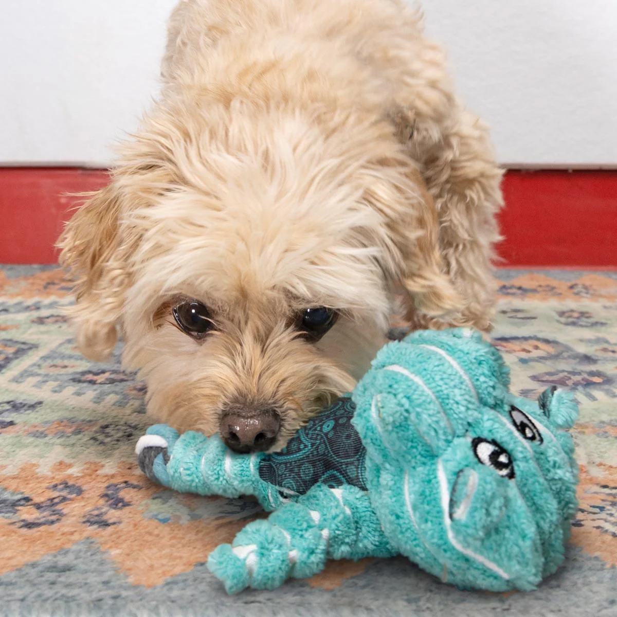 KONG Floppy Knots Plush Dog Toy with Internal Rope & Squeaker - Image 40
