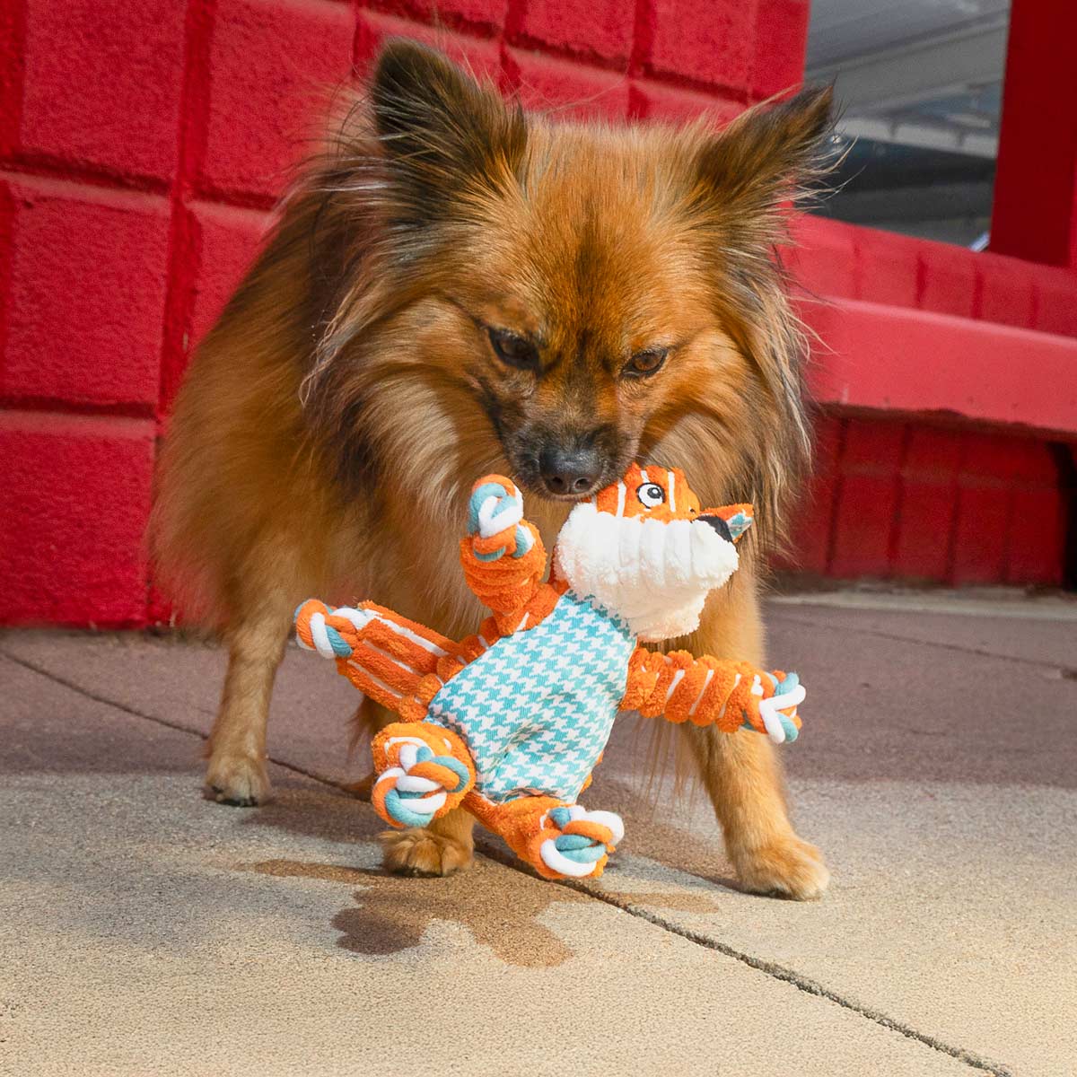 KONG Floppy Knots Plush Dog Toy with Internal Rope & Squeaker - Image 5