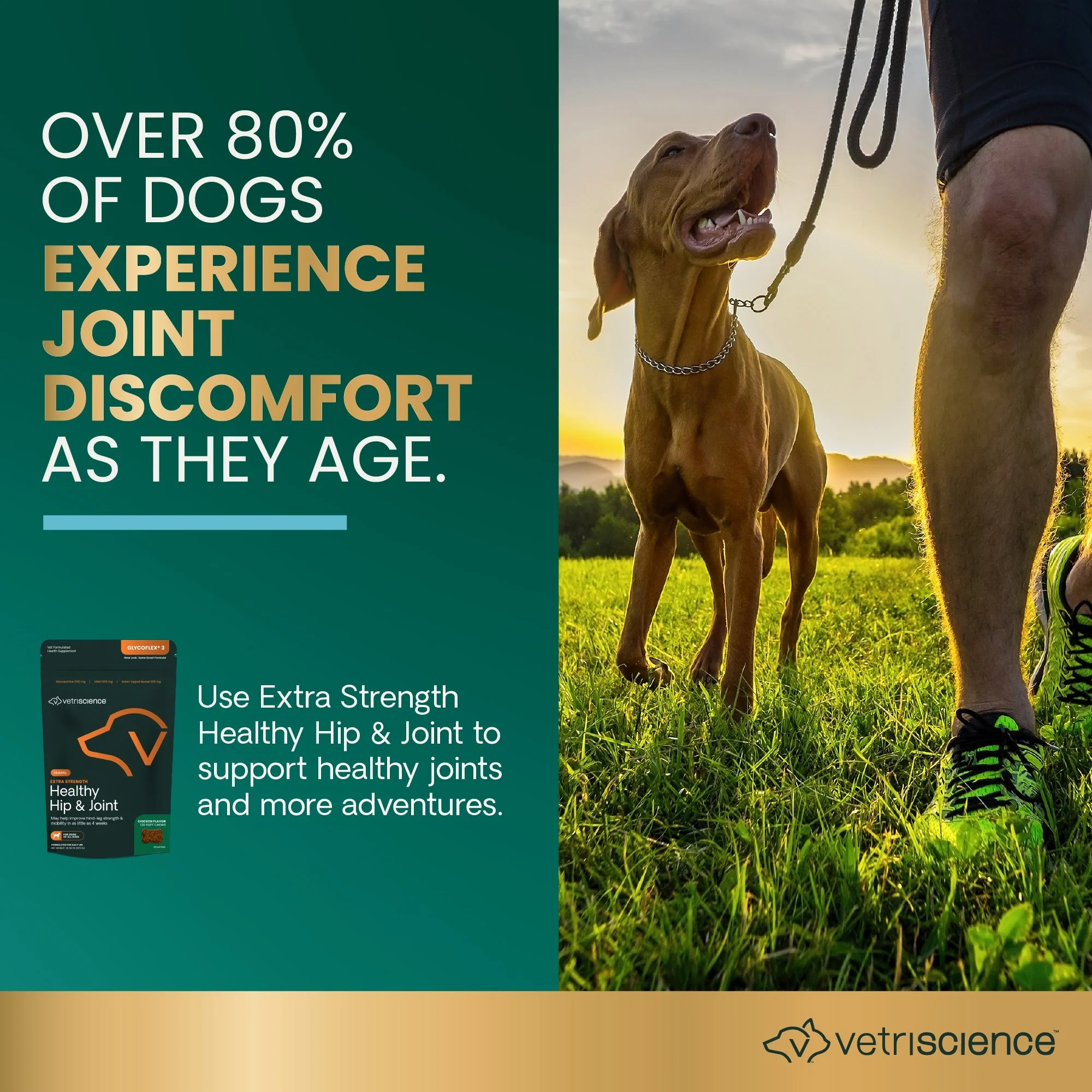 Glyco Flex 3 Joint Support for Dogs, 120 Bite Sized Chews - Image 4