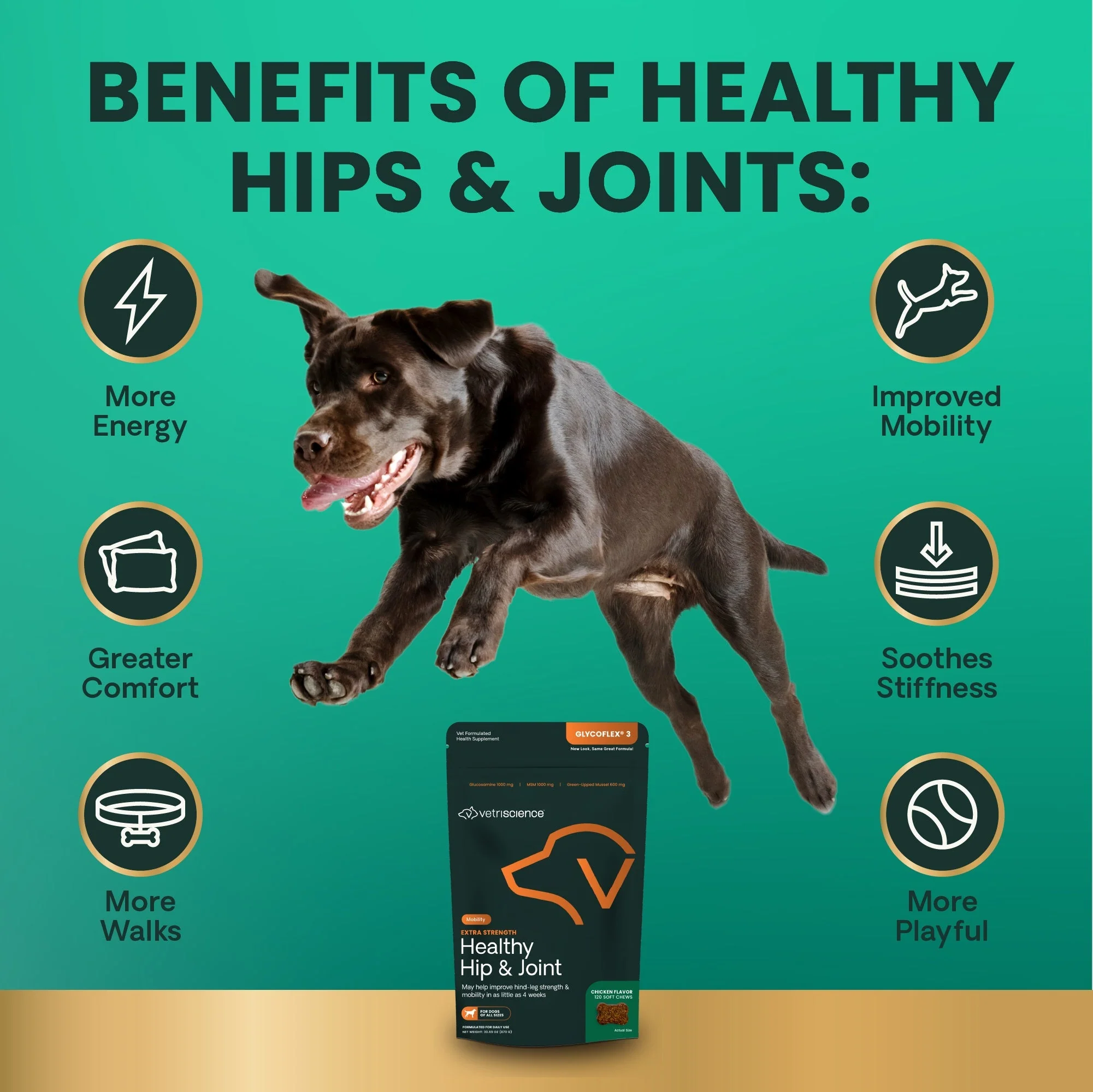 Glyco Flex 3 Joint Support for Dogs, 120 Bite Sized Chews - Image 5