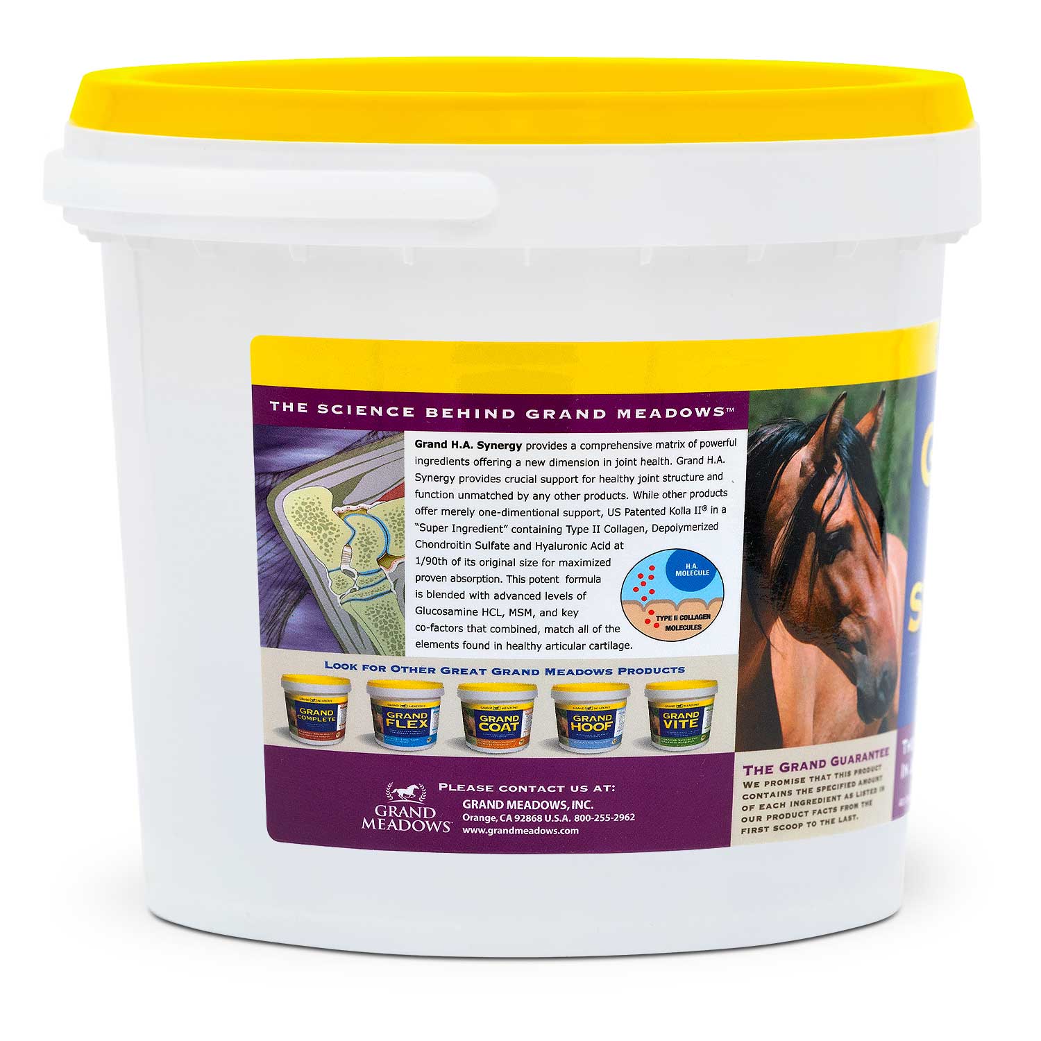 Grand H.A. Synergy Advanced Joint Supplement for Horses & Dogs - Image 2