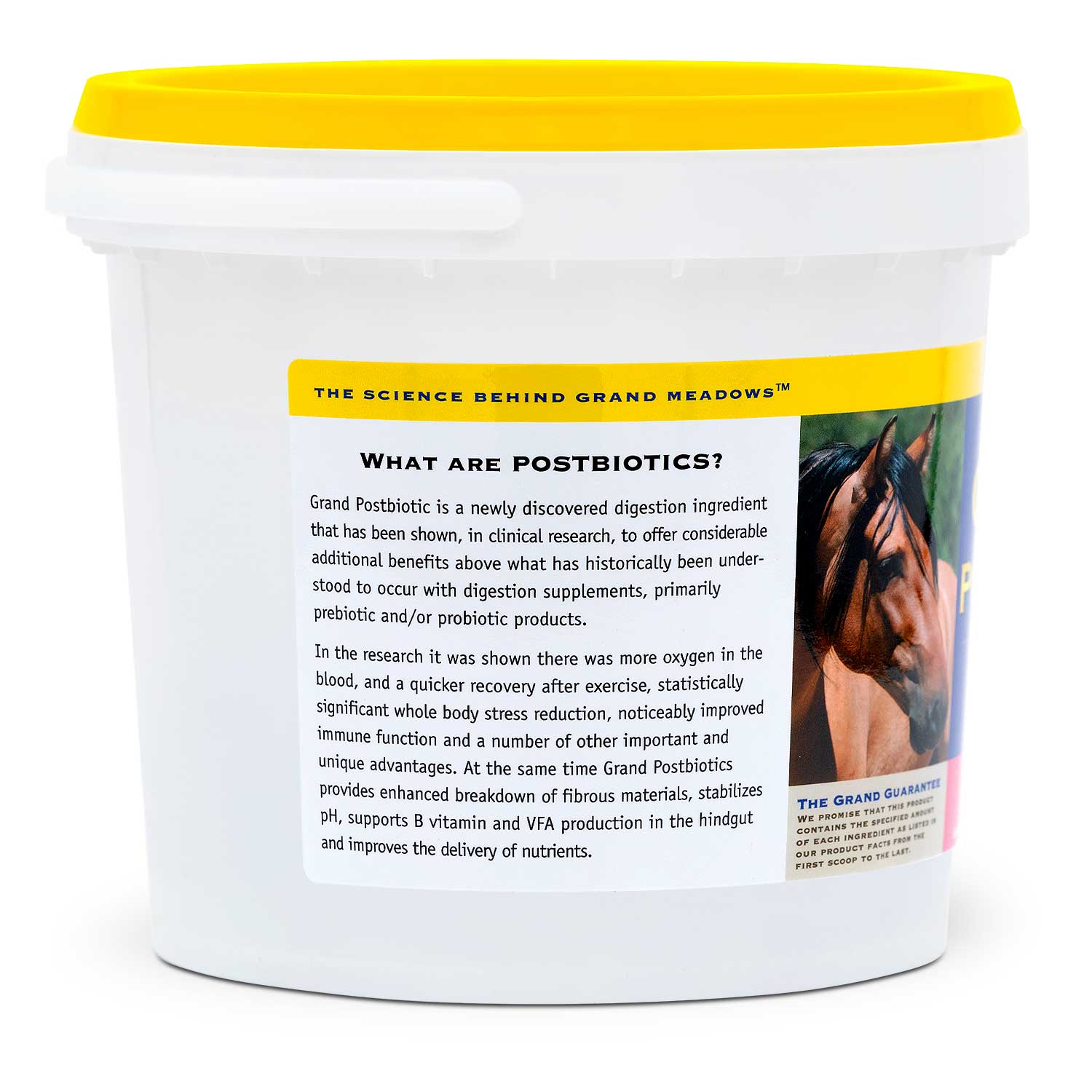 Grand Postbiotic Digestion Supplement for Horses - Image 2