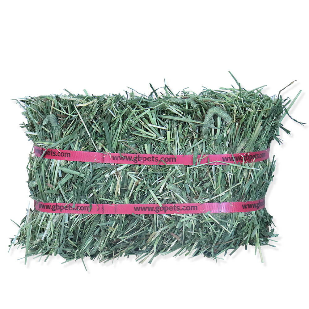 Grandpa’s Best Timothy Hay Loose or Bale – Premium High Fiber Small Pet Hay - Image 8