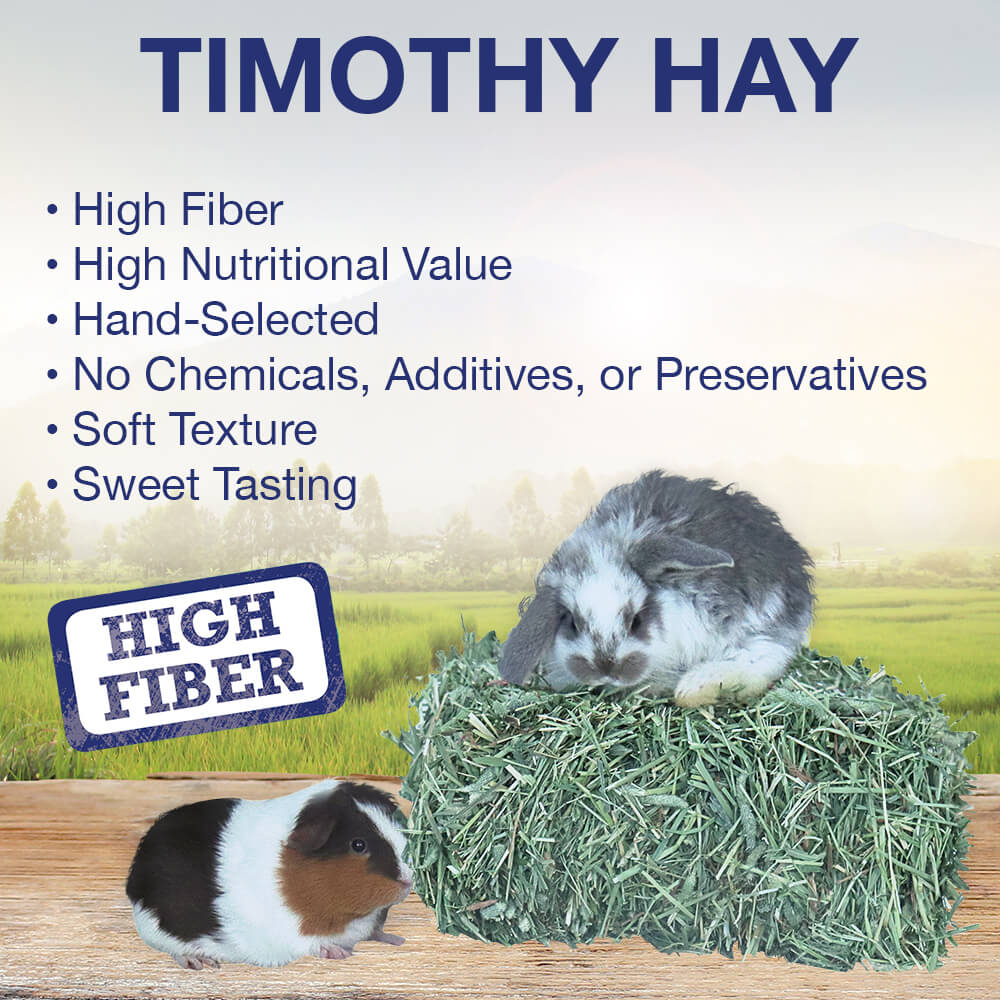 Grandpa’s Best Timothy Hay Loose or Bale – Premium High Fiber Small Pet Hay - Image 9