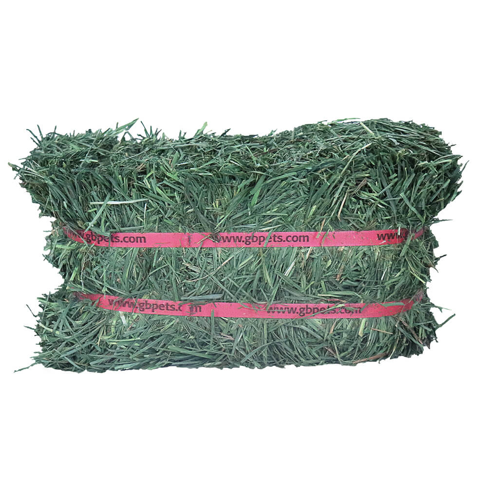 Grandpa's Best Orchard Grass Bale or Loose Boxed Hay for Small Pets - Image 7