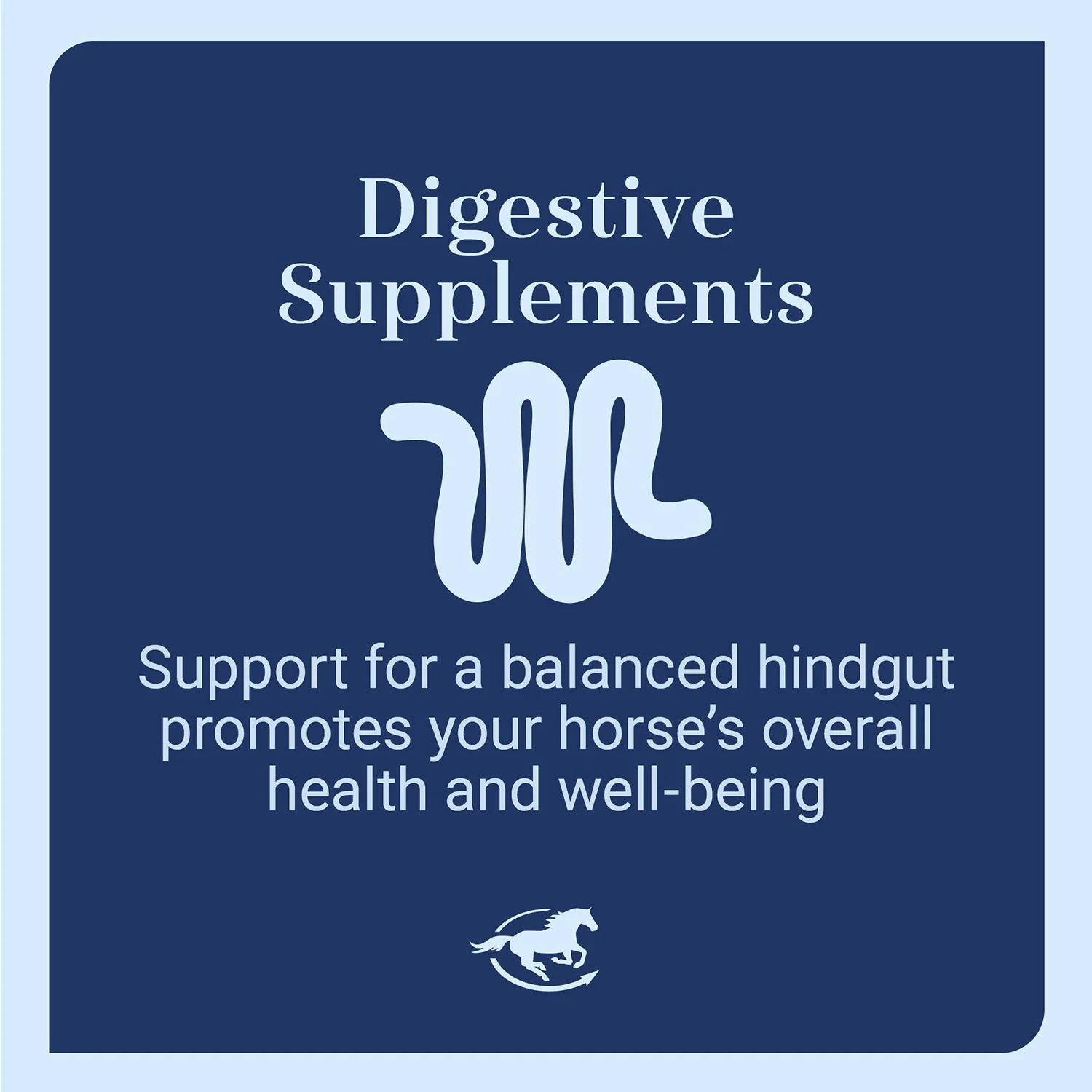 GUT, Digestive & Stomach Support Supplement for Horses, Powder - Image 10