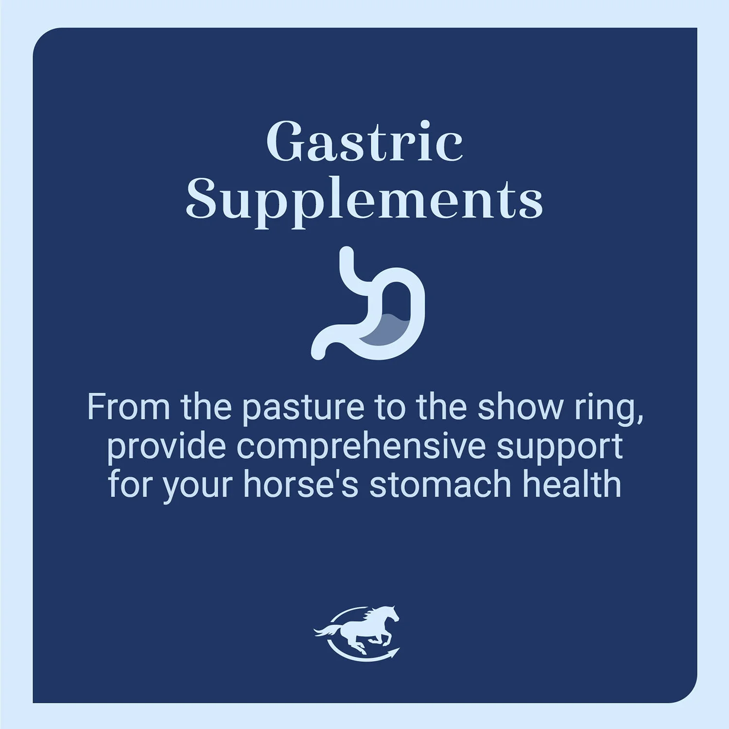 GUT, Digestive & Stomach Support Supplement for Horses, Powder - Image 4