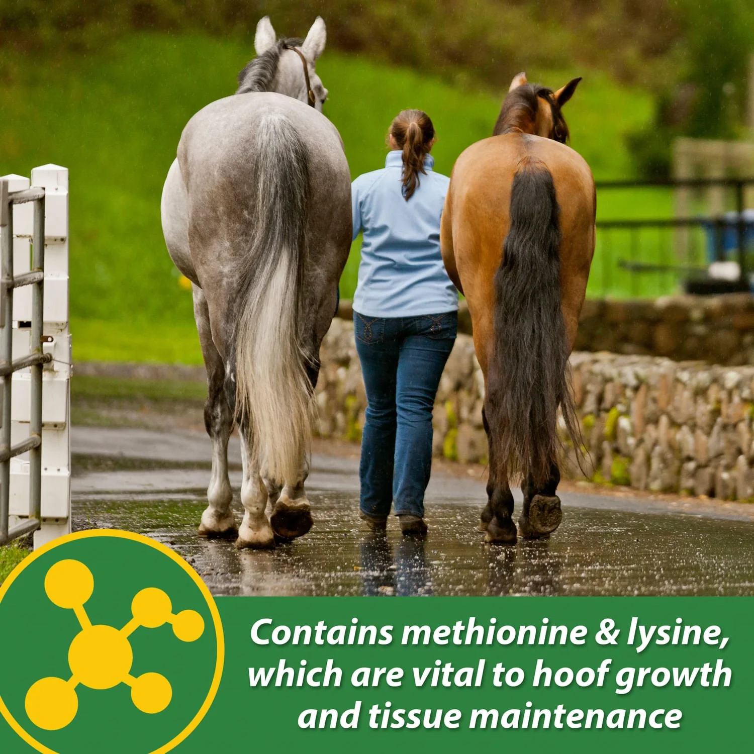 H.B. 15 Hoof Pellets for Horses - Image 8