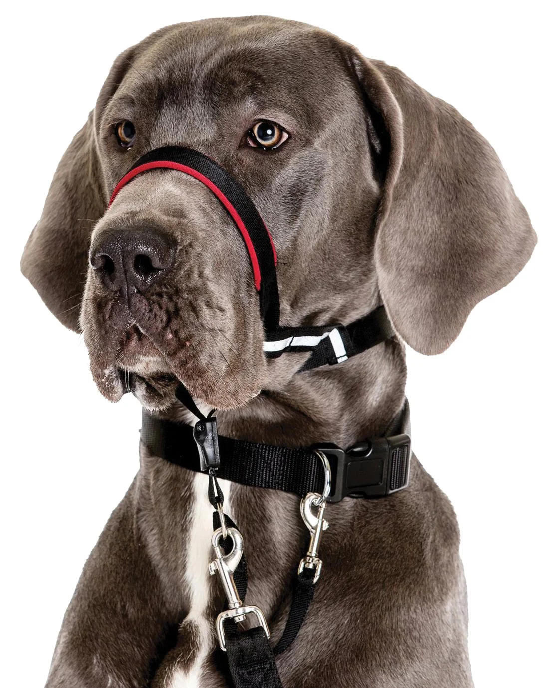 Halti OptiFit Headcollar - Image 8