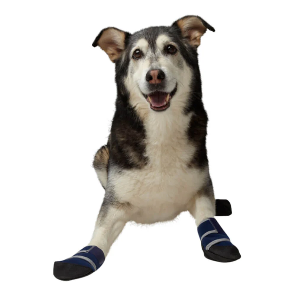 Healers Medical Dog Boots, Box Set of 2 boots & 2 Gauze Pads - Image 2
