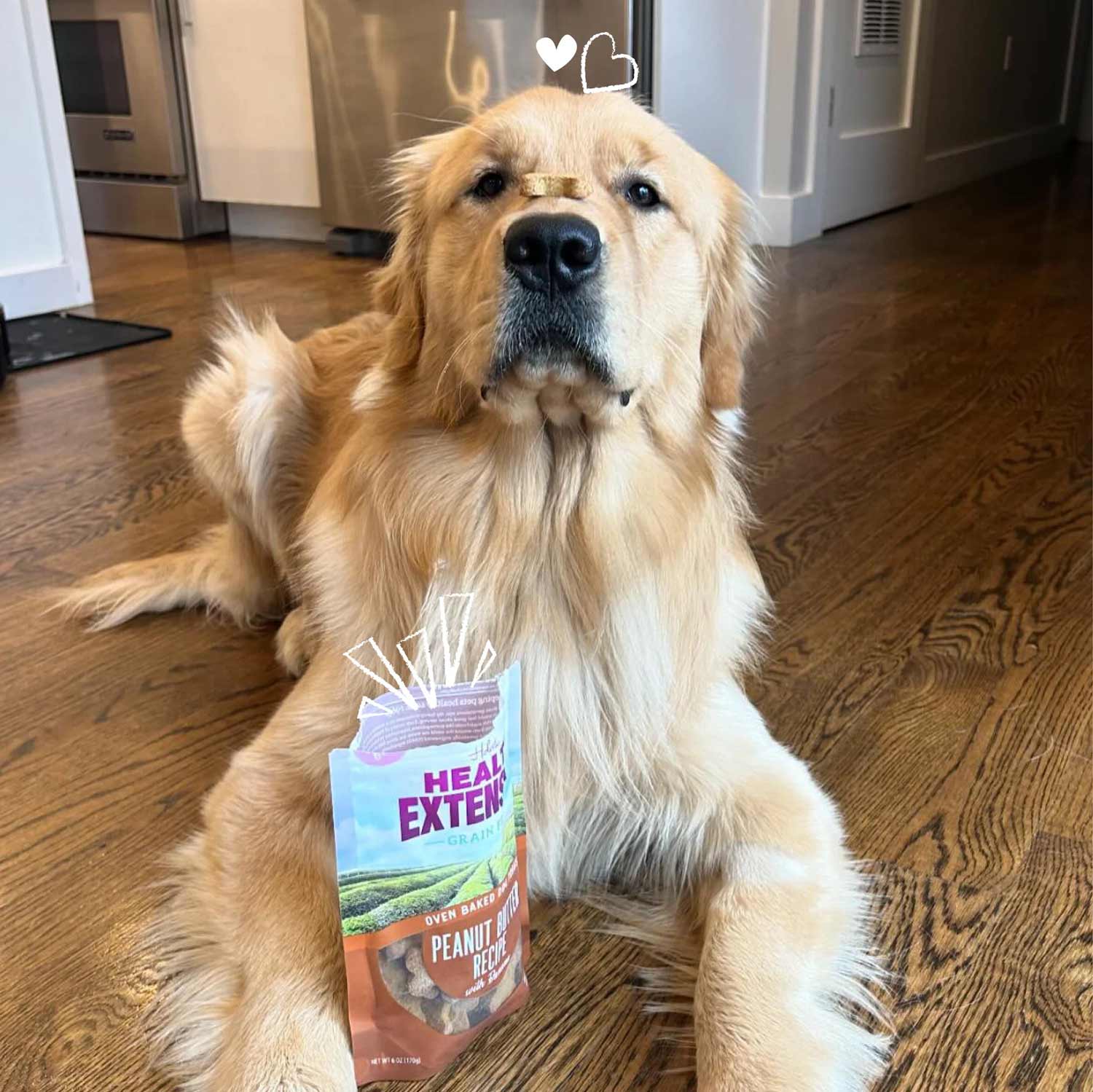 Health Extension Grain-Free Oven Baked Dog Treats, 6 oz - Image 16