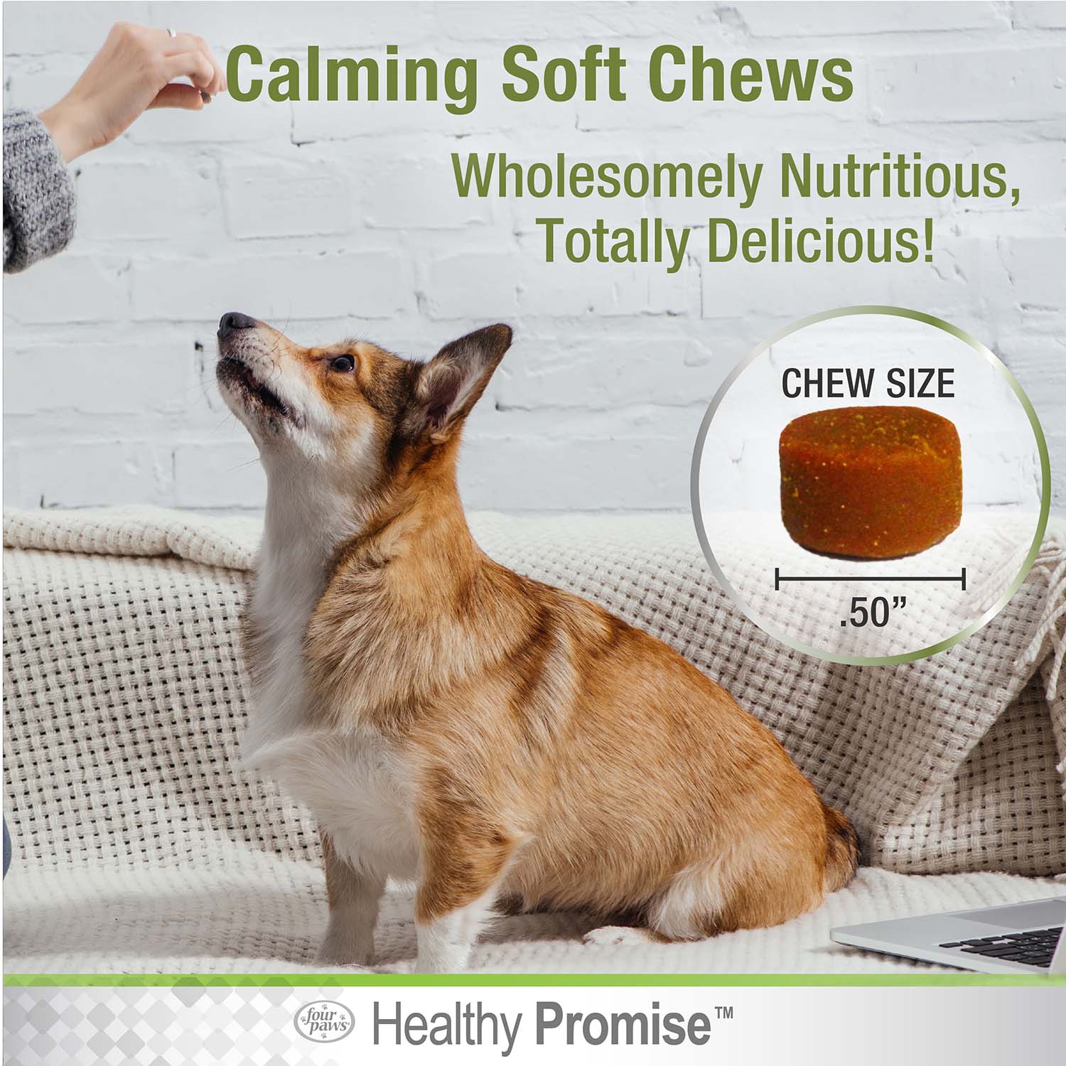 Healthy Promise Calming Chews for Dogs, Savory Liver, 90 ct - Image 5