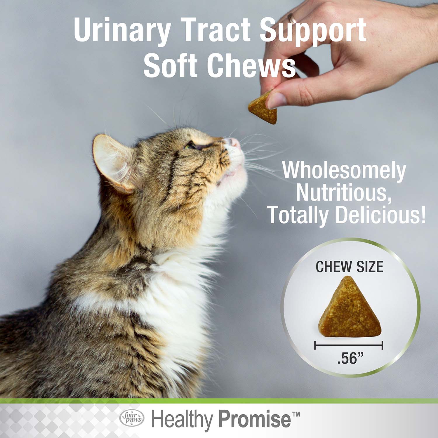 Healthy Promise Cat Urinary Tract Soft Chews, Chicken & Cheese, 110 ct - Image 6
