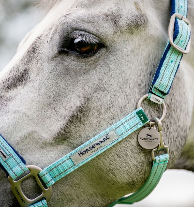 Horseware FieldSafe Halter - Image 7