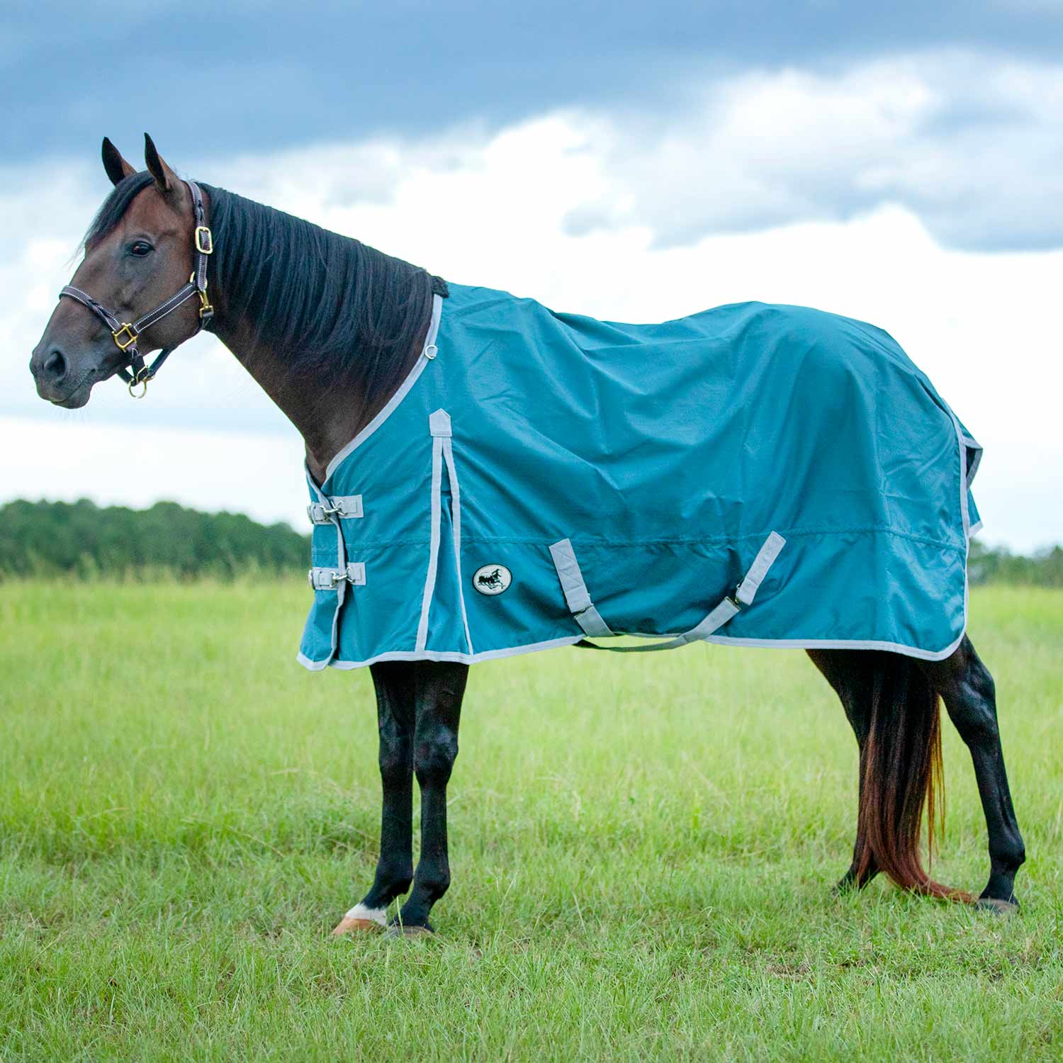 Jeffers Economy 600 Denier Lightweight Standard Neck Horse Turnout Sheet, 0 g Fill - Image 4