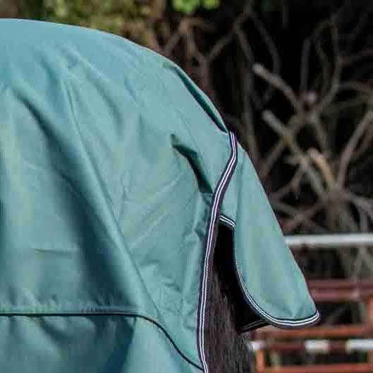 Jeffers Economy Plus Lightweight Standard Neck Horse Horse Turnout Sheet, 1200 Denier, 0 g Fill, Sage Green - Image 5