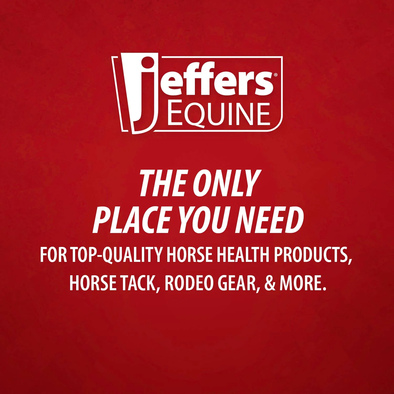 Jeffers Equine Simply Natural Horse Shampoo for Sensitive Skin - Image 5