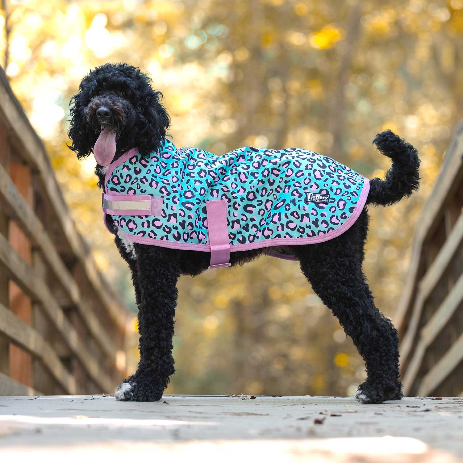 Jeffers Expression 600D Waterproof Ripstop Dog Coat, 240 Gram - Image 2