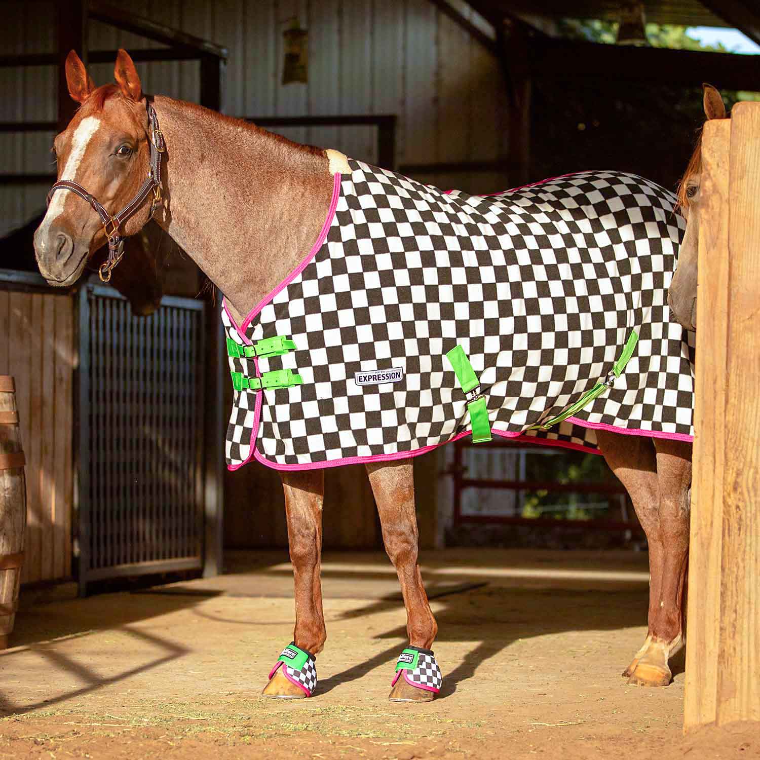 Jeffers Expression Standard Neck Fleece Horse Cooler - Image 10